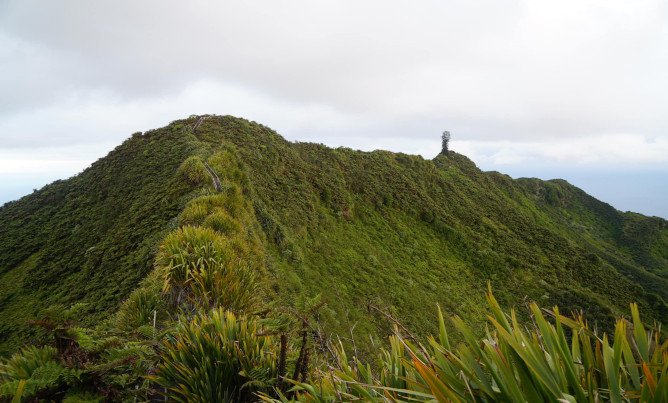 The Peaks National Park